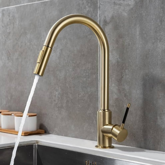 Professional Pull-Down Kitchen Faucet
