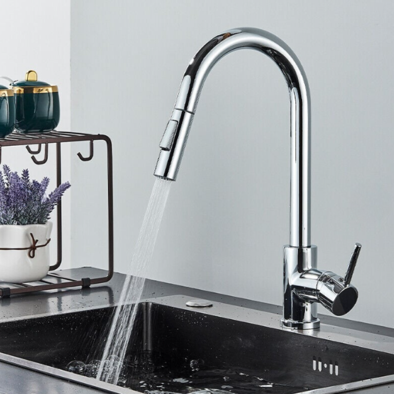 Professional Pull-Down Kitchen Faucet