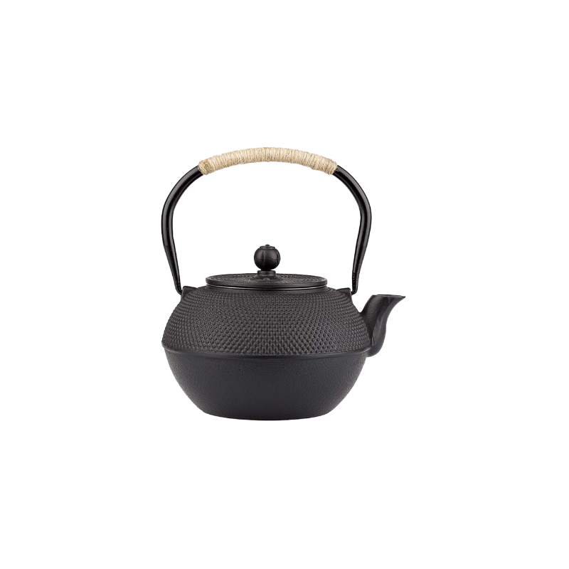 Japanese Iron Tea Pot