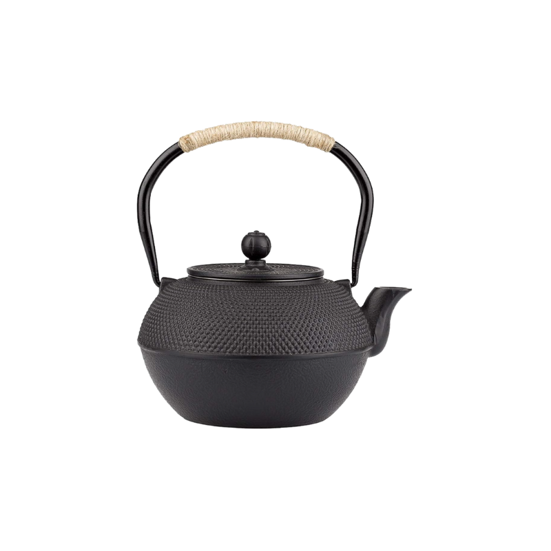 Japanese Iron Tea Pot