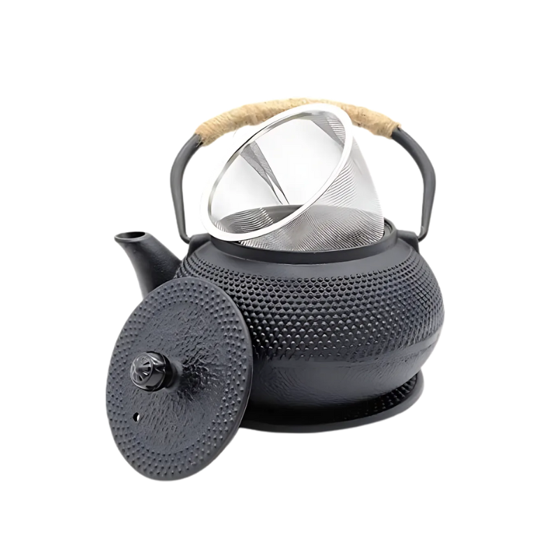 Japanese Iron Tea Pot