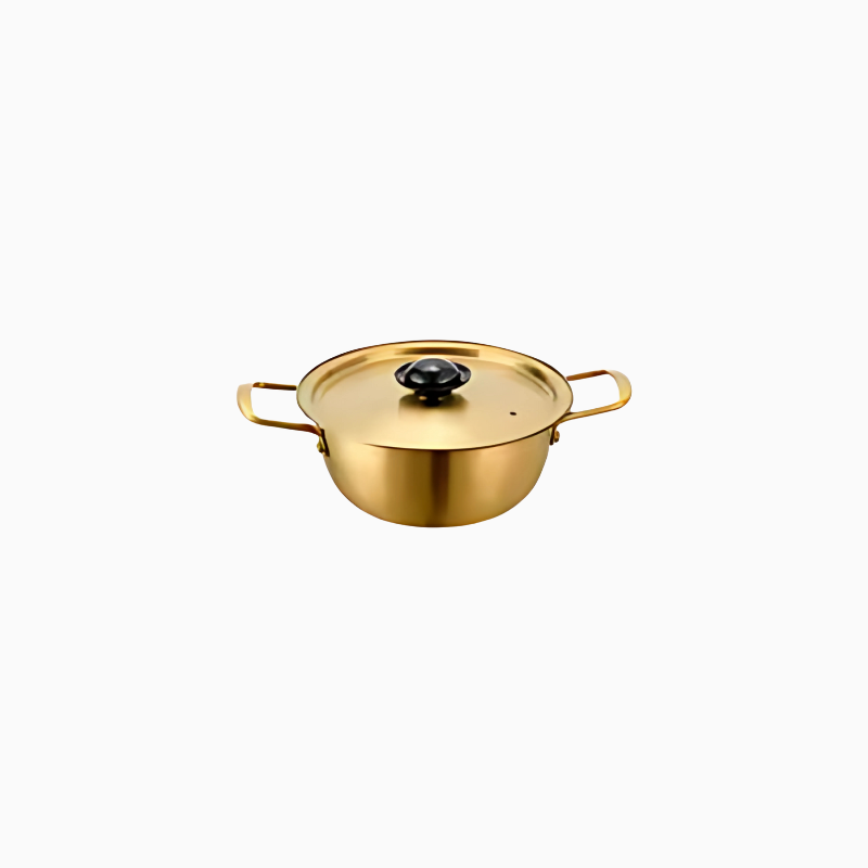 Premium Stainless Steel Cooking Pot